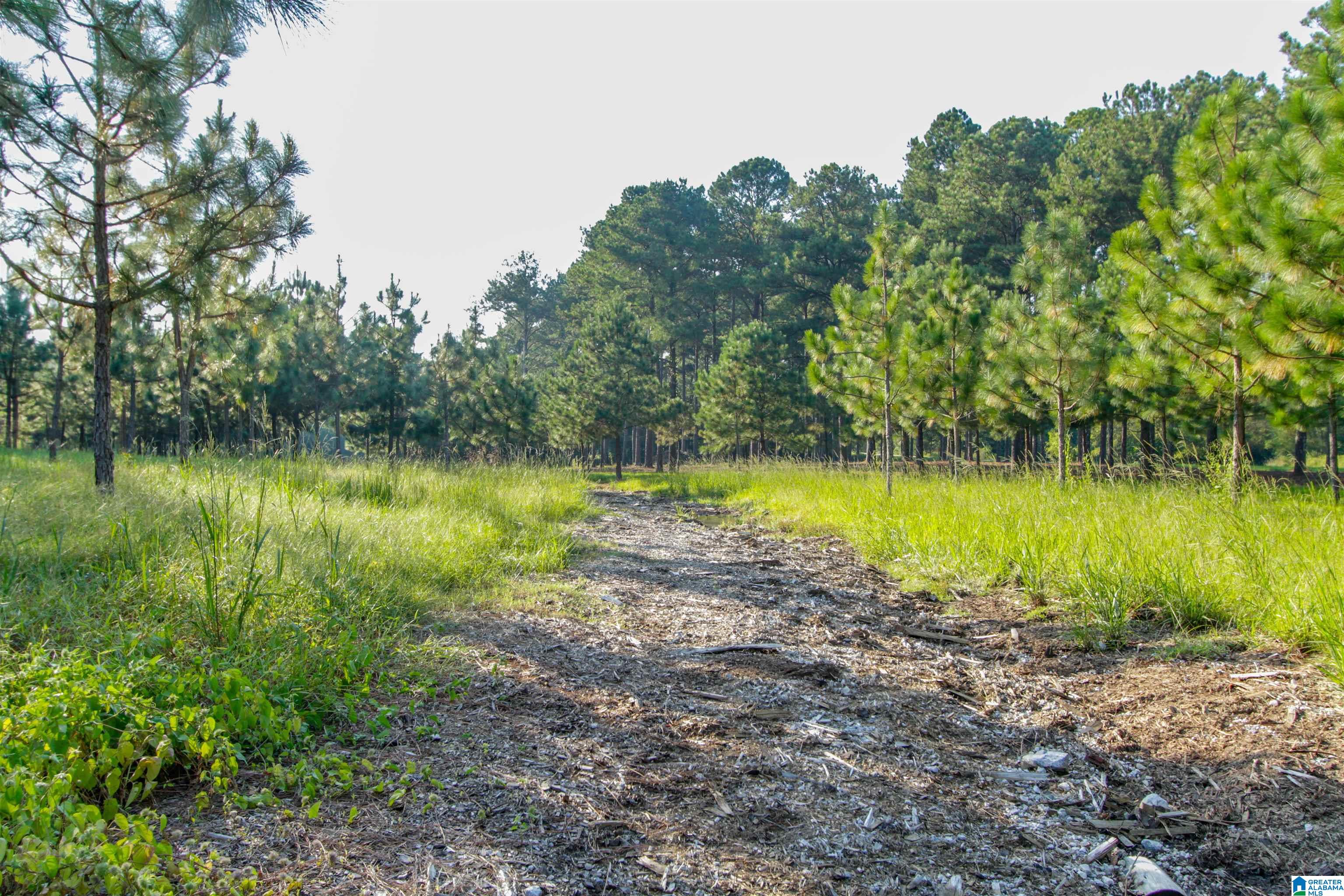 0 County Road 48, Unit 1 Jemison, AL 35085 - Photo 11 of 24