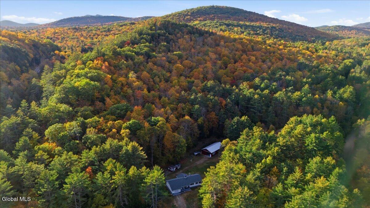 65 Dippikill Road Warrensburg, NY 12885 - Photo 2 of 36 65 Dippikill Rd