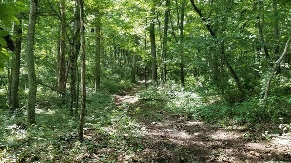 Xo Brook Road Scotland, CT 06247 - Photo 7 of 13 Gallery Image 7