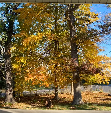 $440,000 | 11709 Belshaw Road, Lowell, IN 46356