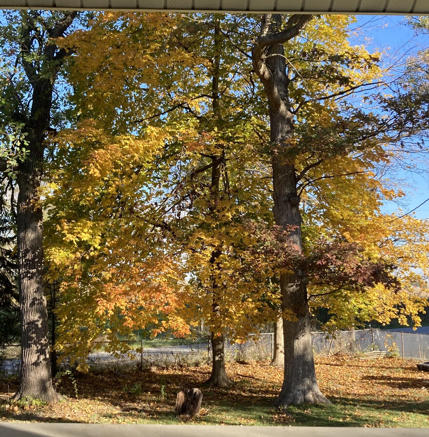 11709 Belshaw Road Lowell, IN 46356 - Photo 58 of 79 1758x1790