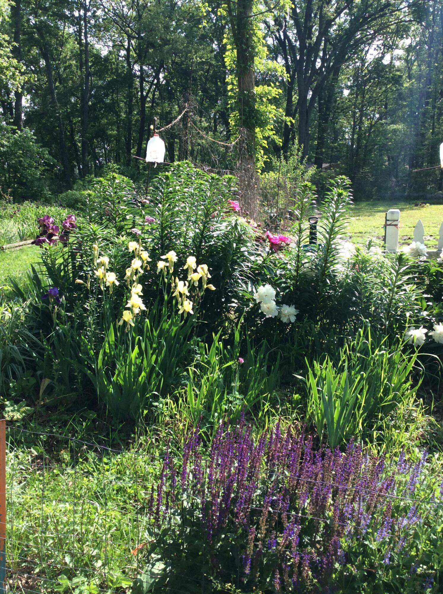 11709 Belshaw Road Lowell, IN 46356 - Photo 61 of 79 1493x2000