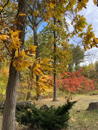 $440,000 | 11709 Belshaw Road, Lowell, IN 46356