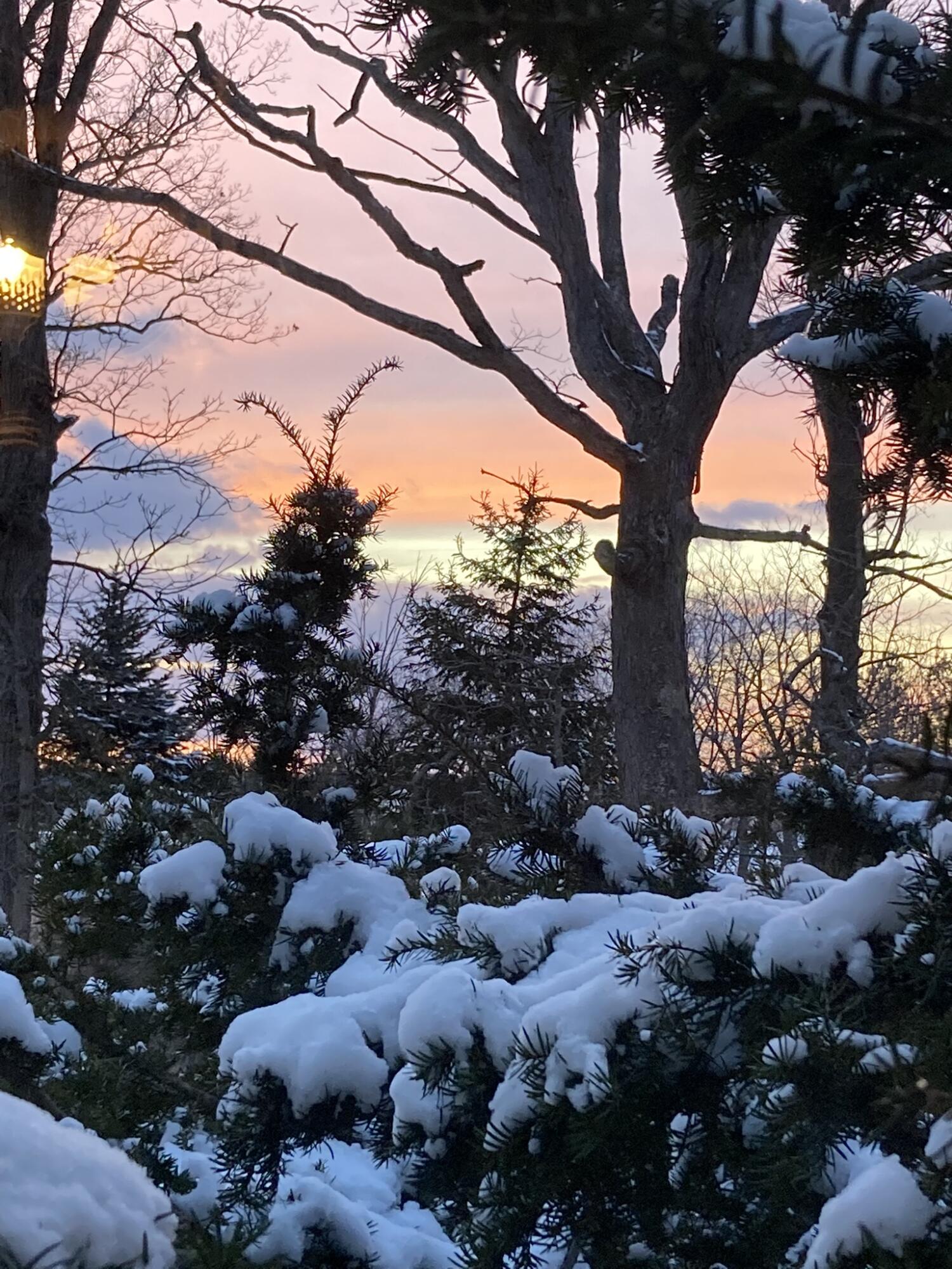 11709 Belshaw Road Lowell, IN 46356 - Photo 65 of 79 1500x2000