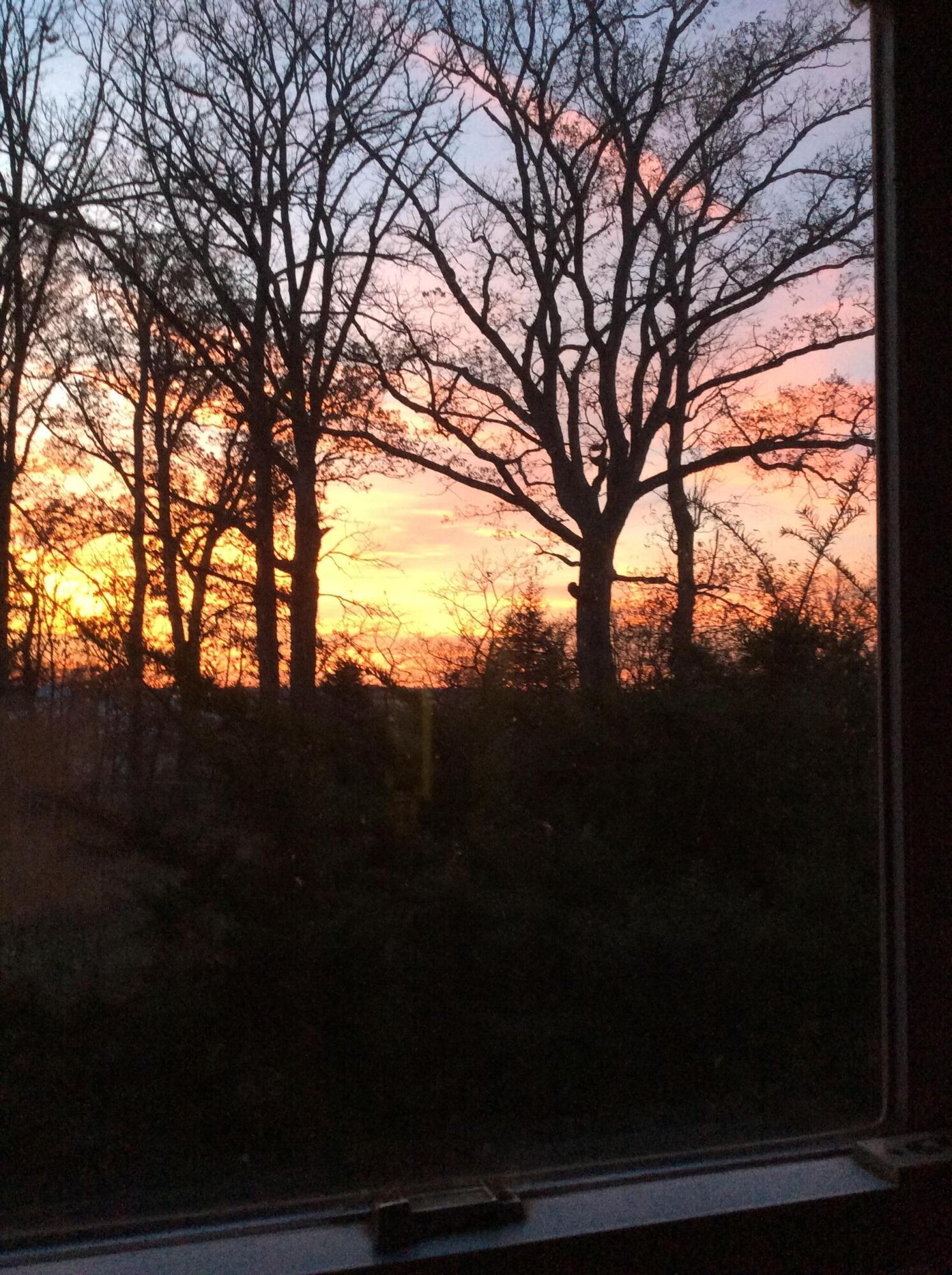 11709 Belshaw Road Lowell, IN 46356 - Photo 66 of 79 1493x2000