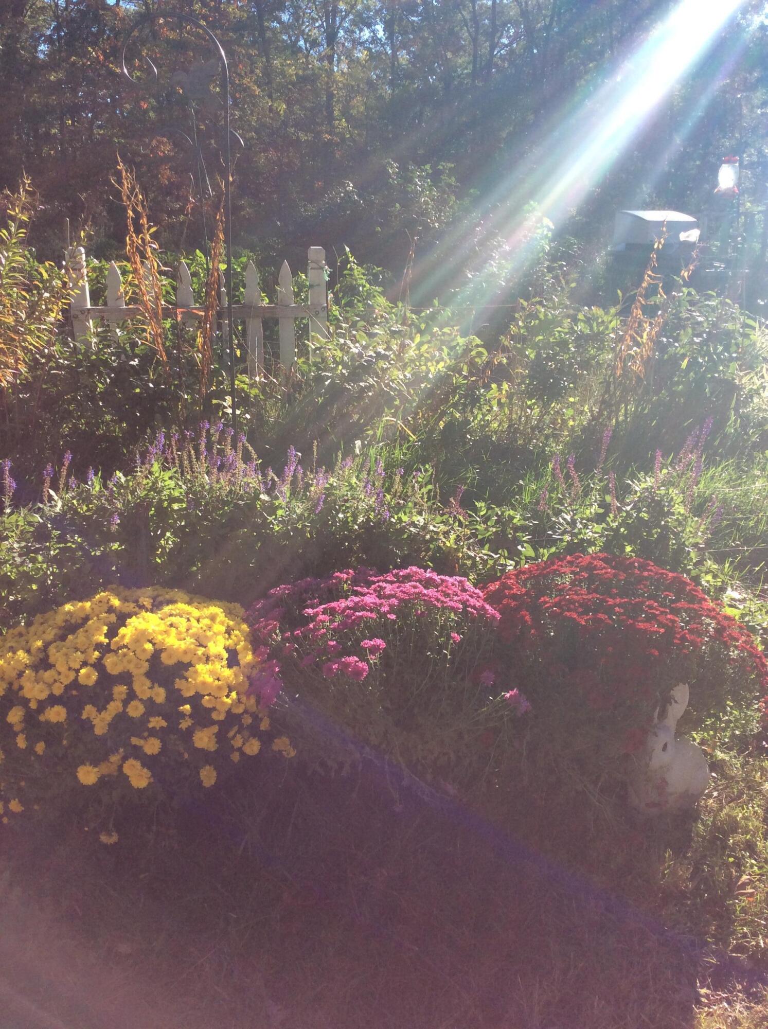 11709 Belshaw Road Lowell, IN 46356 - Photo 67 of 79 1493x2000