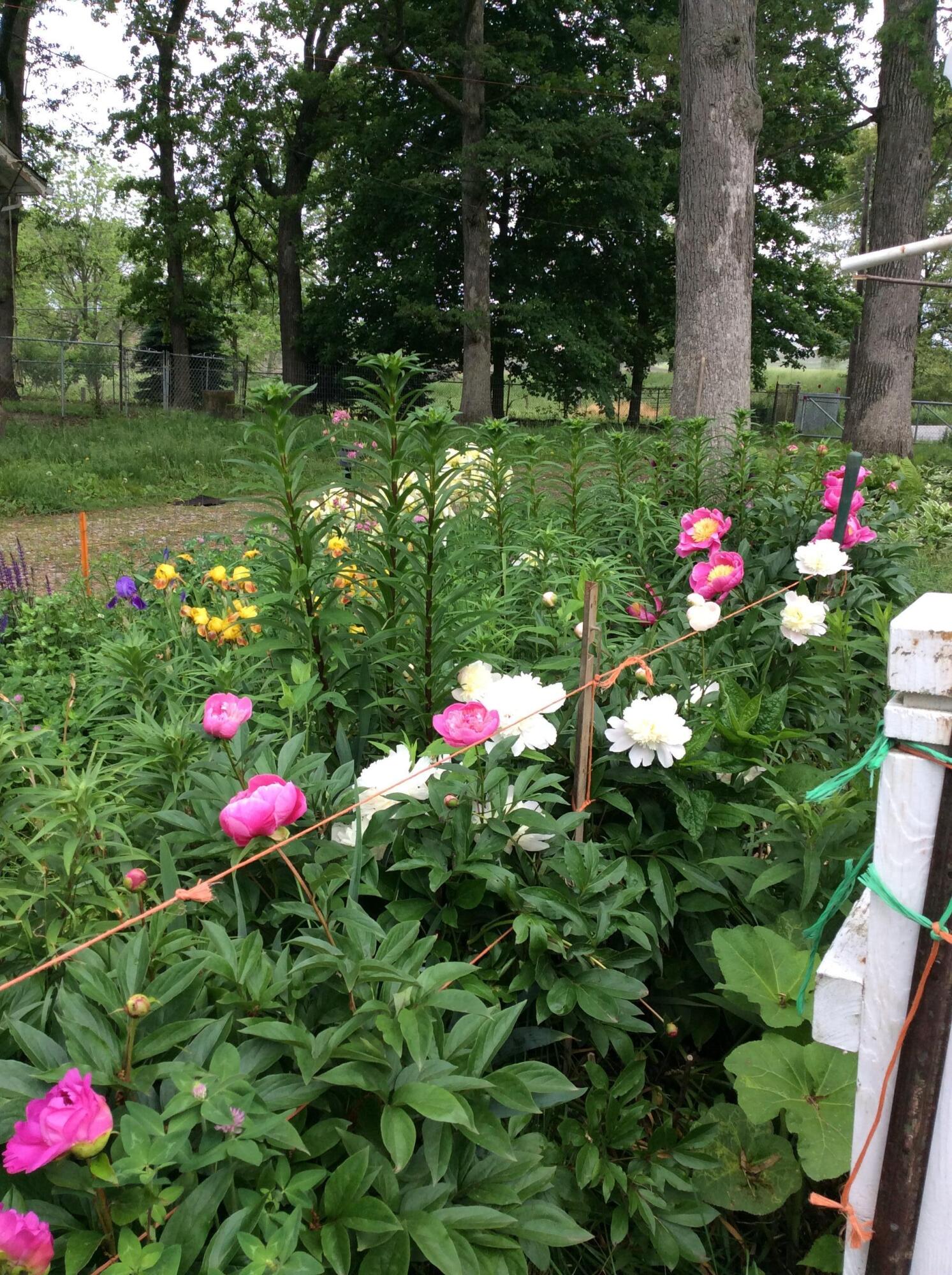 11709 Belshaw Road Lowell, IN 46356 - Photo 68 of 79 1493x2000