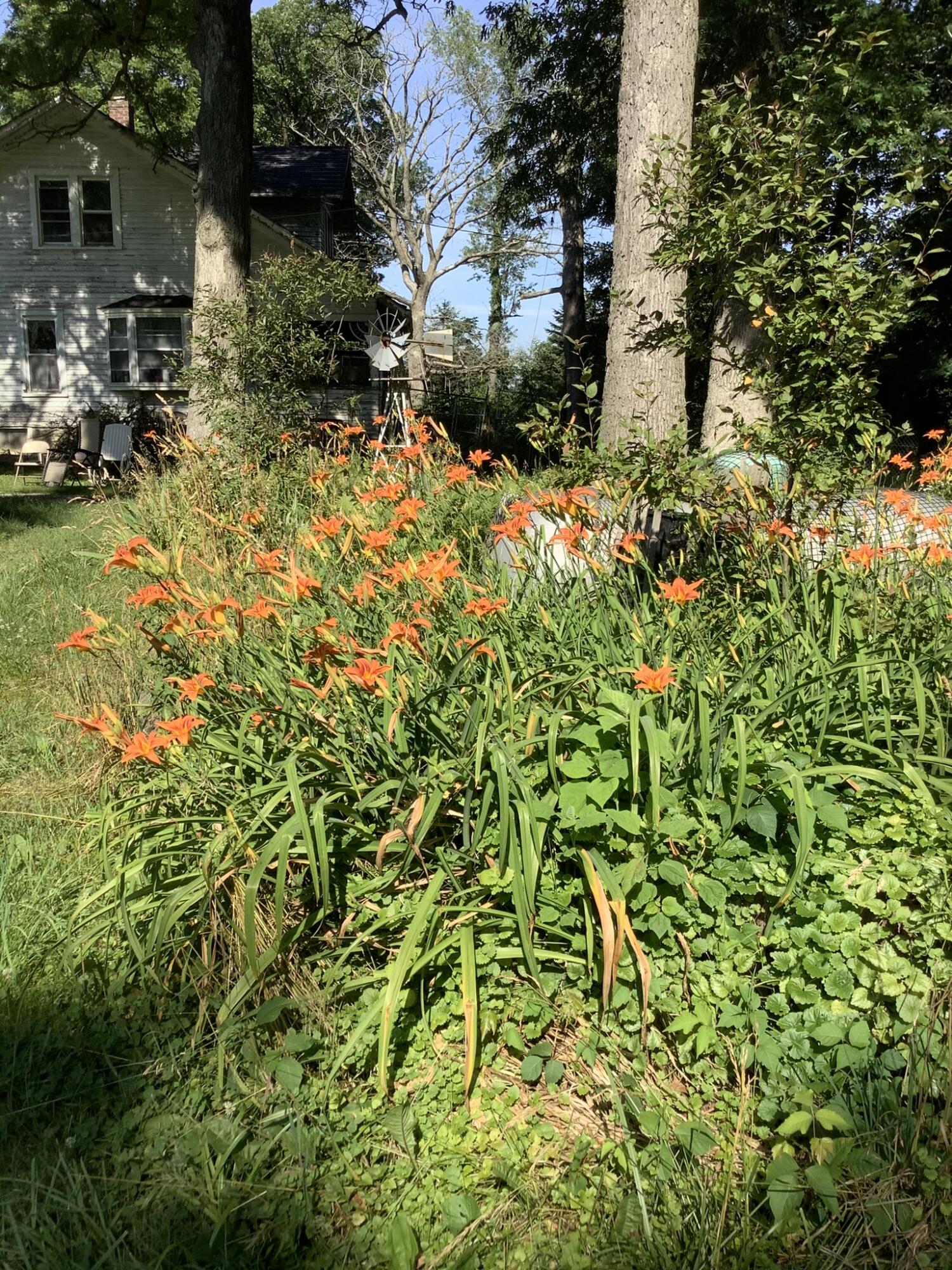 11709 Belshaw Road Lowell, IN 46356 - Photo 69 of 79 1500x2000