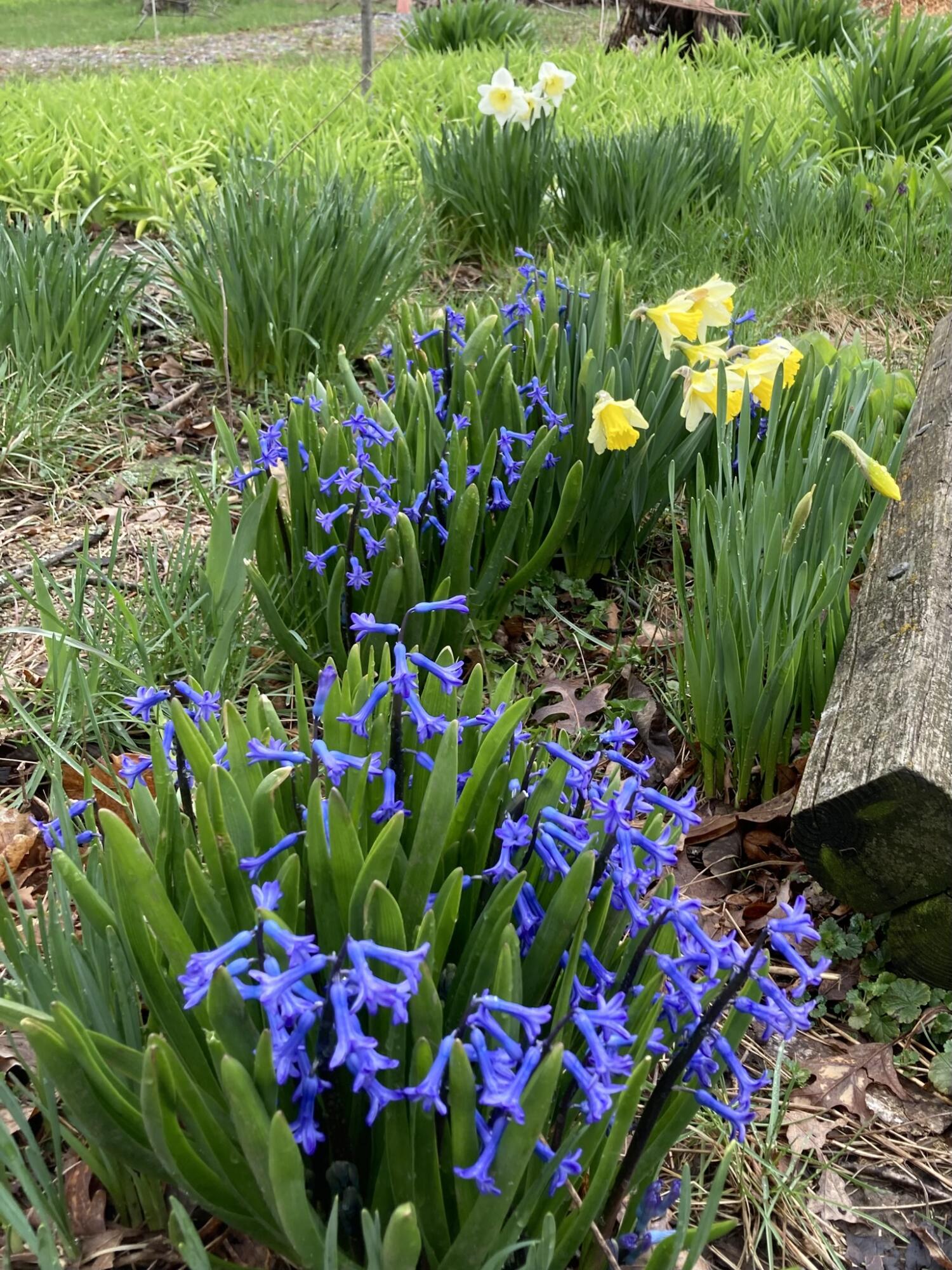 11709 Belshaw Road Lowell, IN 46356 - Photo 72 of 79 1500x2000