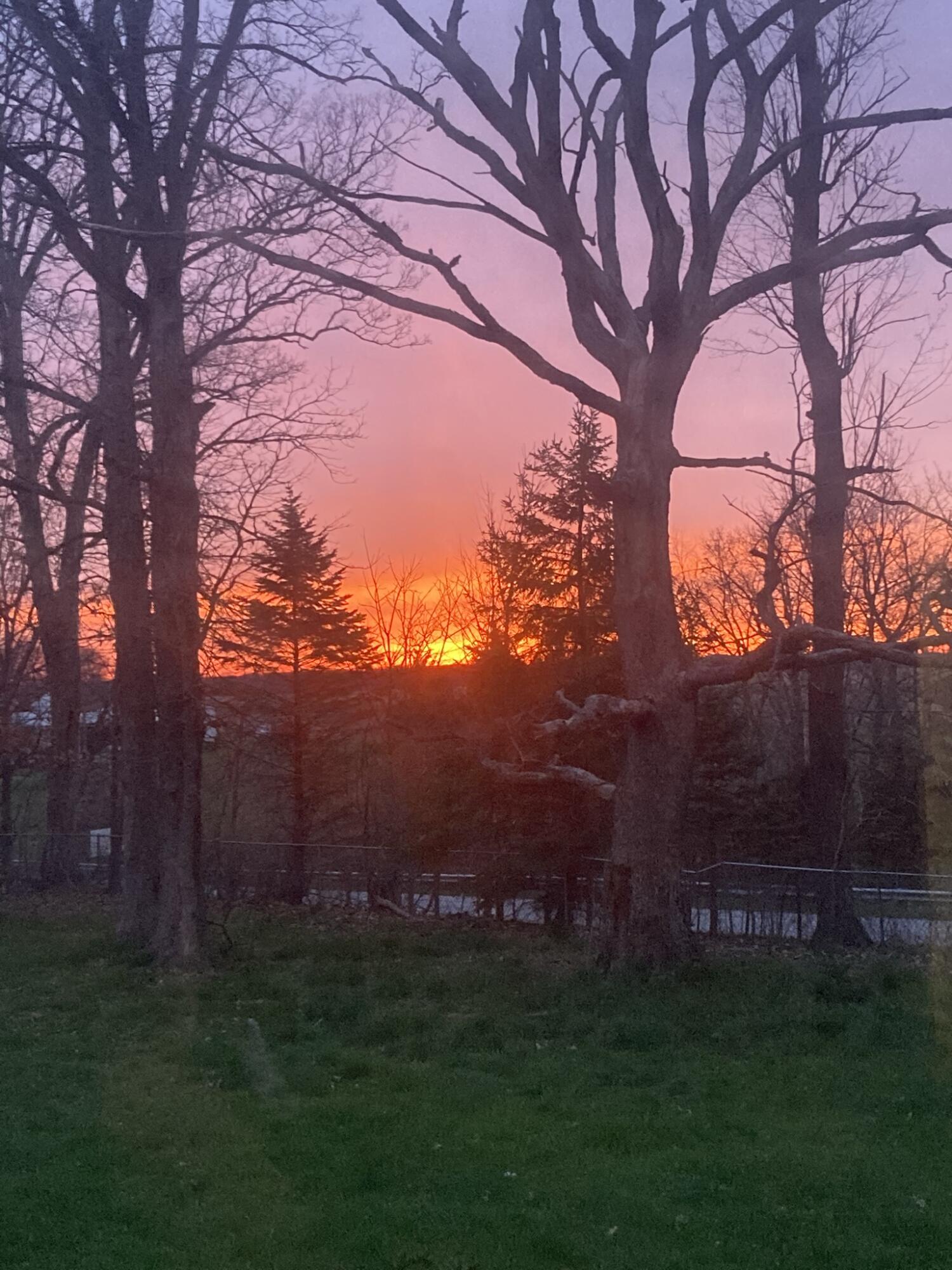 11709 Belshaw Road Lowell, IN 46356 - Photo 73 of 79 1500x2000