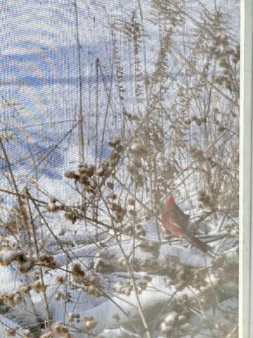 11709 Belshaw Road Lowell, IN 46356 - Photo 74 of 79 360x480