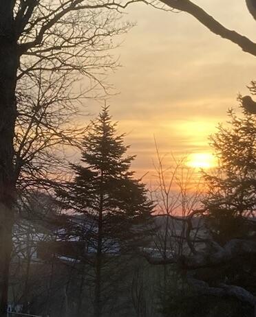 11709 Belshaw Road Lowell, IN 46356 - Photo 75 of 79 372x462