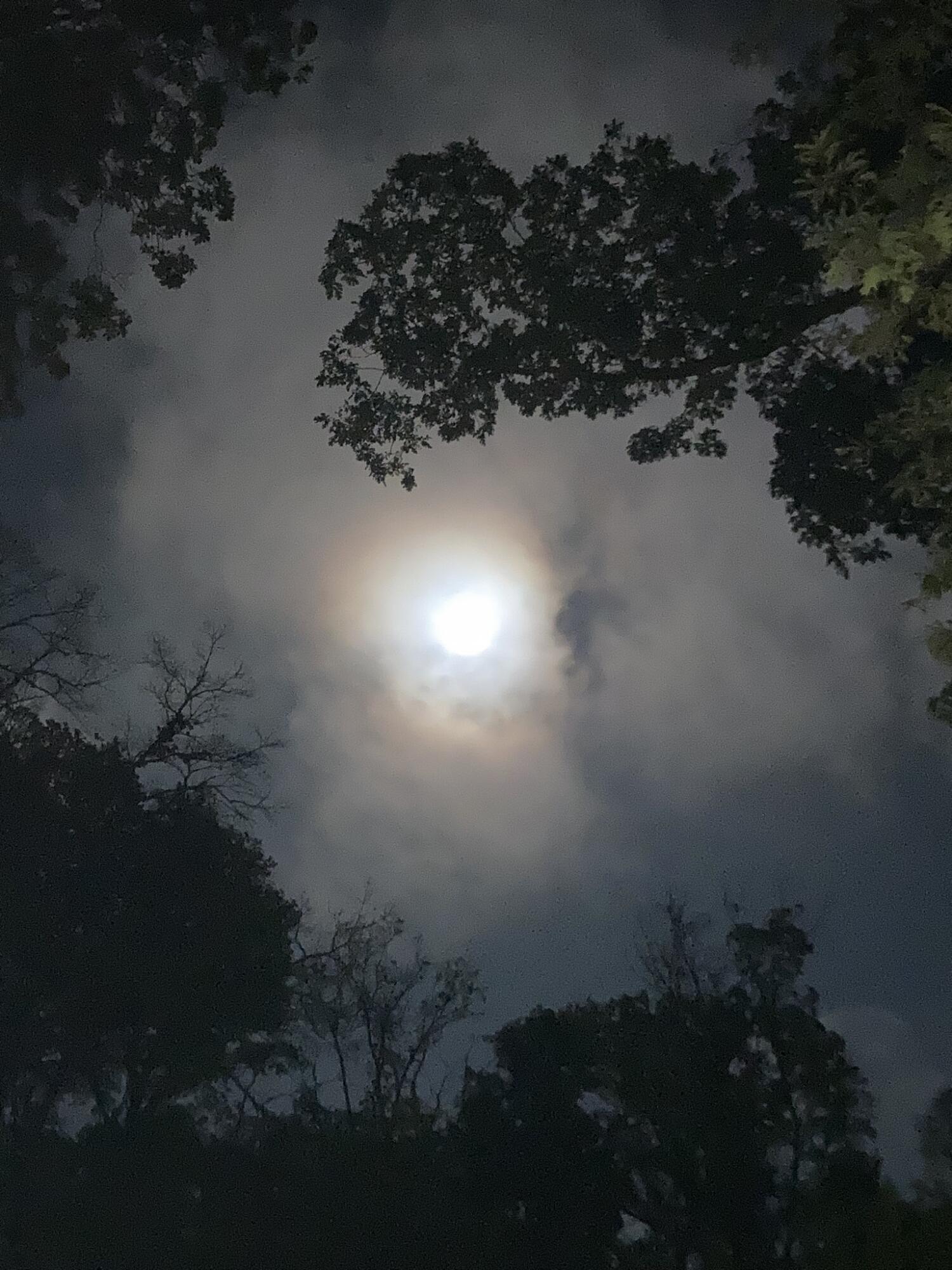 11709 Belshaw Road Lowell, IN 46356 - Photo 78 of 79 1500x2000