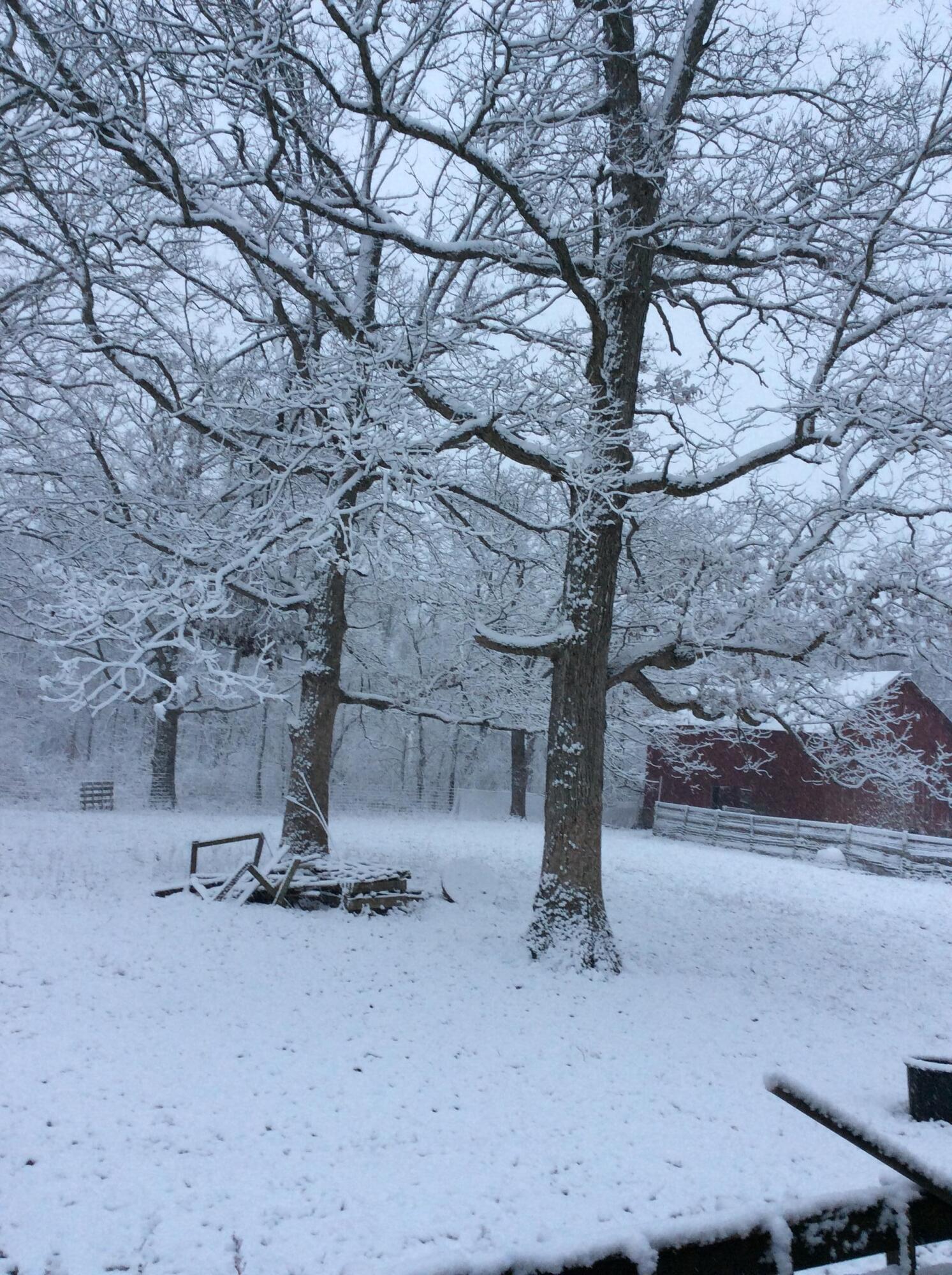 11709 Belshaw Road Lowell, IN 46356 - Photo 79 of 79 1493x2000