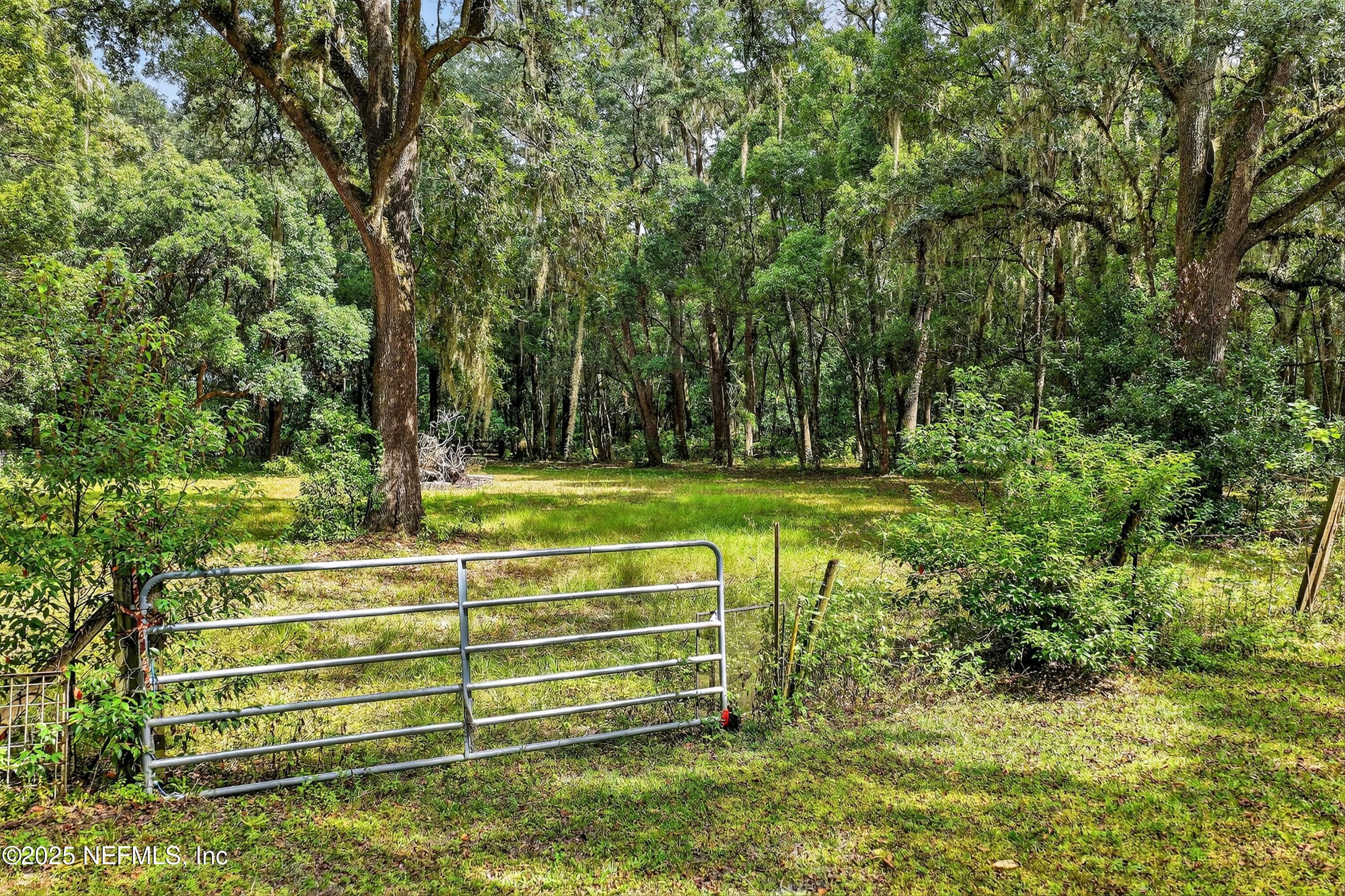 6049 Taylor Road Jacksonville, FL 32234 - Photo 43 of 56 Backyard view