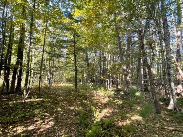 737 Mercer Road Norridgewock, ME 04957 - Photo 25 of 26 IMG_8102