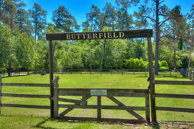 11864 Burtons Ferry Martin, SC 29836 - Photo 7 of 46