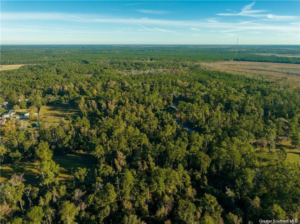 4719 Ray Hitt Road Starks, LA 70661 - Photo 4 of 7 Gallery Image 4