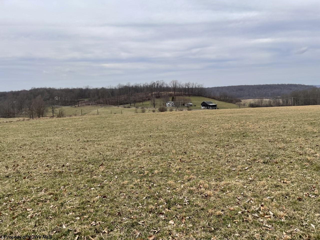 3229 Coal Lick Road Albright, WV 26519 - Photo 2 of 19 Gallery Image 2