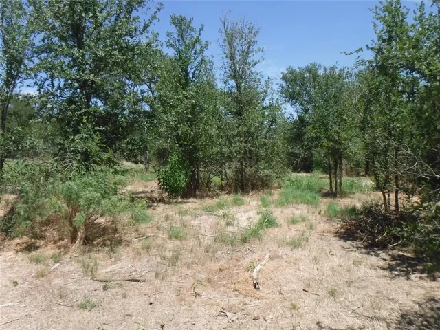 $550,000 | 110 Settlers Trail, Elgin, TX 78621