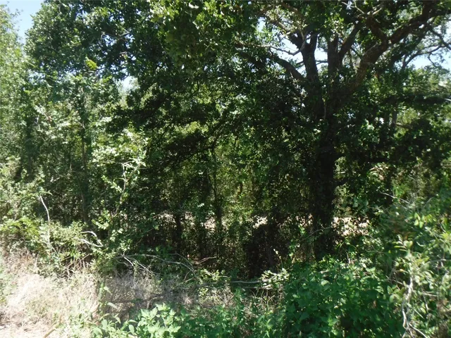 $550,000 | 110 Settlers Trail, Elgin, TX 78621