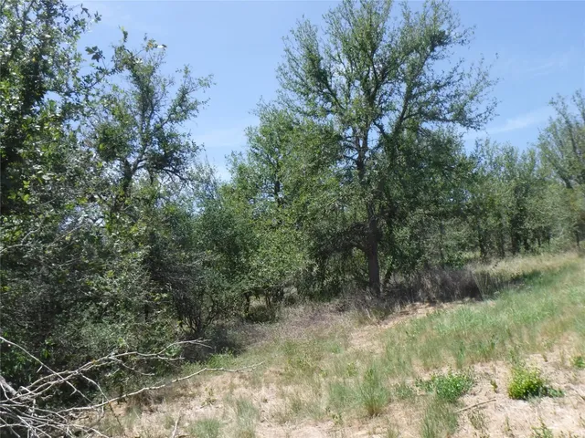 $550,000 | 110 Settlers Trail, Elgin, TX 78621