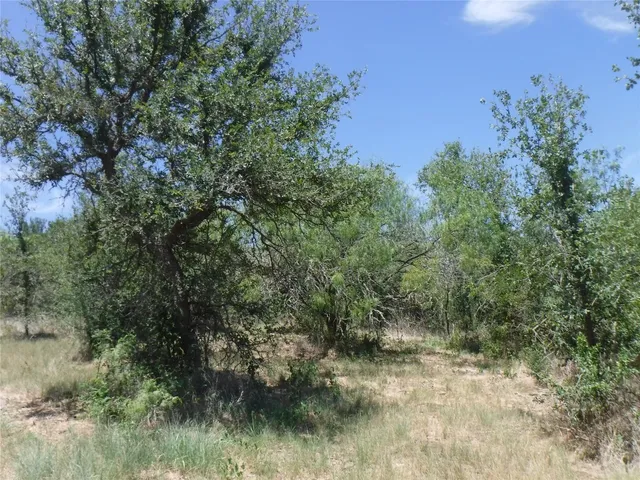 $550,000 | 110 Settlers Trail, Elgin, TX 78621