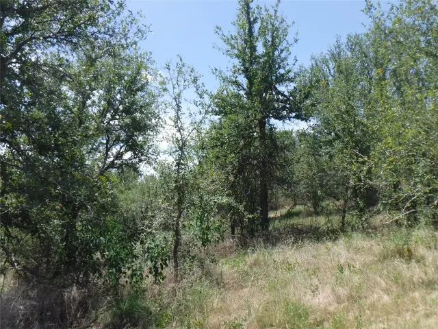 $550,000 | 110 Settlers Trail, Elgin, TX 78621