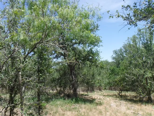 $550,000 | 110 Settlers Trail, Elgin, TX 78621