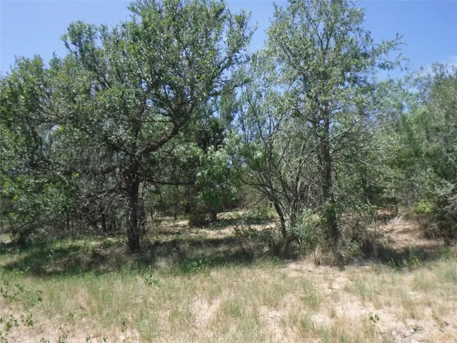 $550,000 | 110 Settlers Trail, Elgin, TX 78621