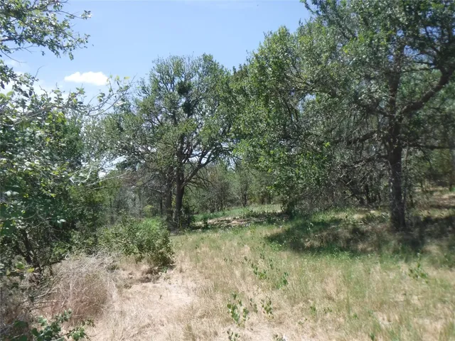 $550,000 | 110 Settlers Trail, Elgin, TX 78621