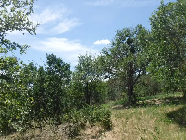 $550,000 | 110 Settlers Trail, Elgin, TX 78621