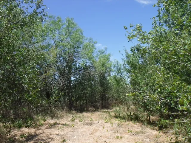 $550,000 | 110 Settlers Trail, Elgin, TX 78621