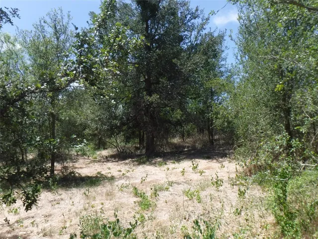 $550,000 | 110 Settlers Trail, Elgin, TX 78621