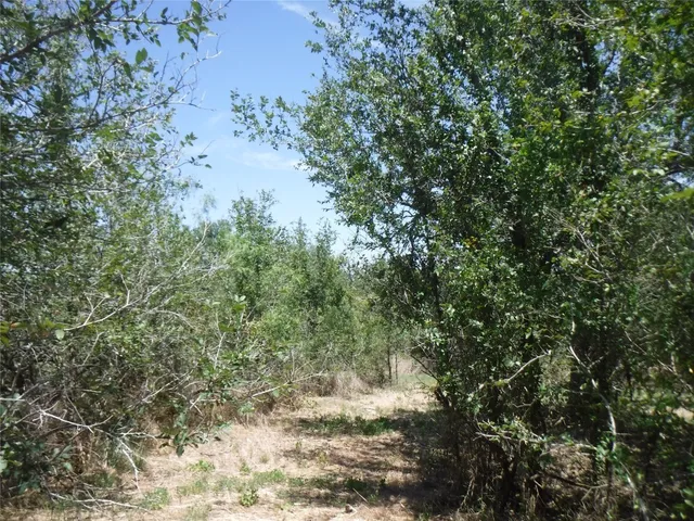 $550,000 | 110 Settlers Trail, Elgin, TX 78621