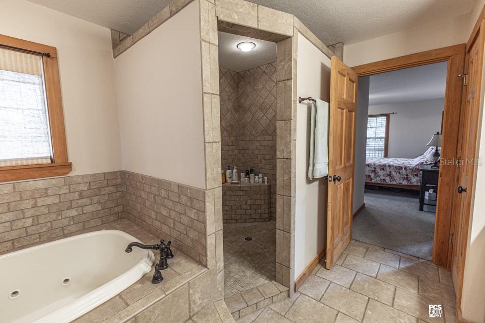 8091 County Road 476B Bushnell, FL 33513 - Photo 24 of 67 a bathroom with a tub a sink and a large mirror