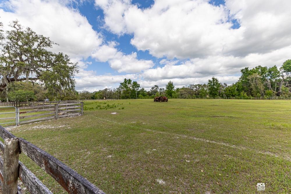 8091 County Road 476B Bushnell, FL 33513 - Photo 48 of 67 a view of a field with an outdoor space