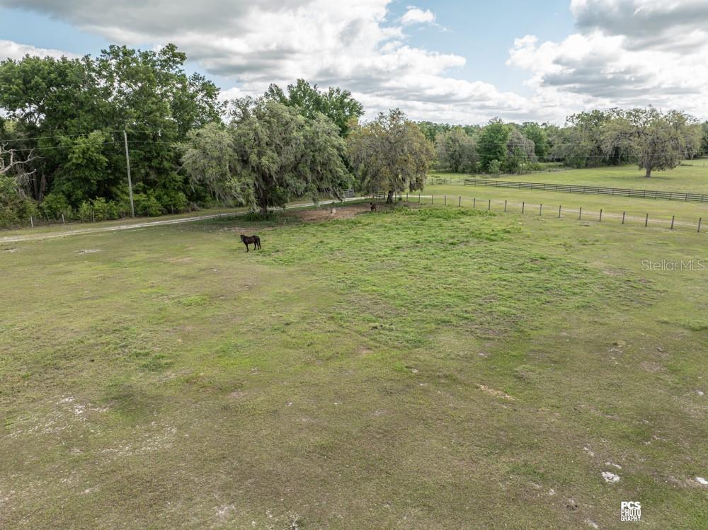 8091 County Road 476B Bushnell, FL 33513 - Photo 58 of 67 a view of outdoor space with pool and trees