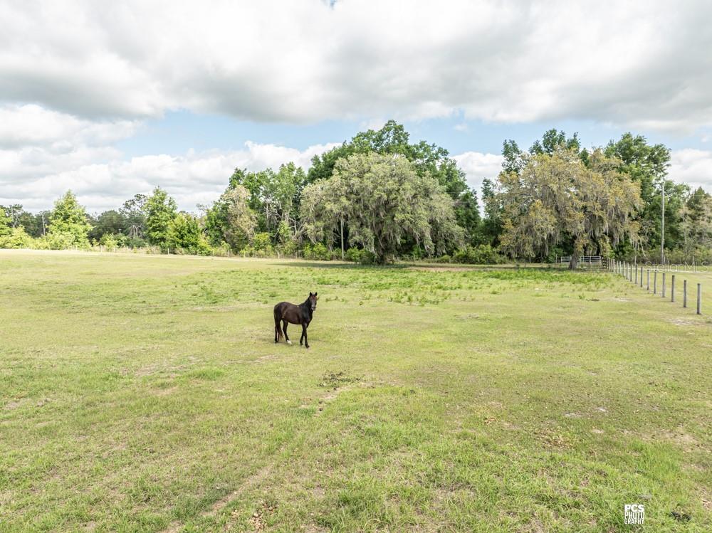 8091 County Road 476B Bushnell, FL 33513 - Photo 64 of 67