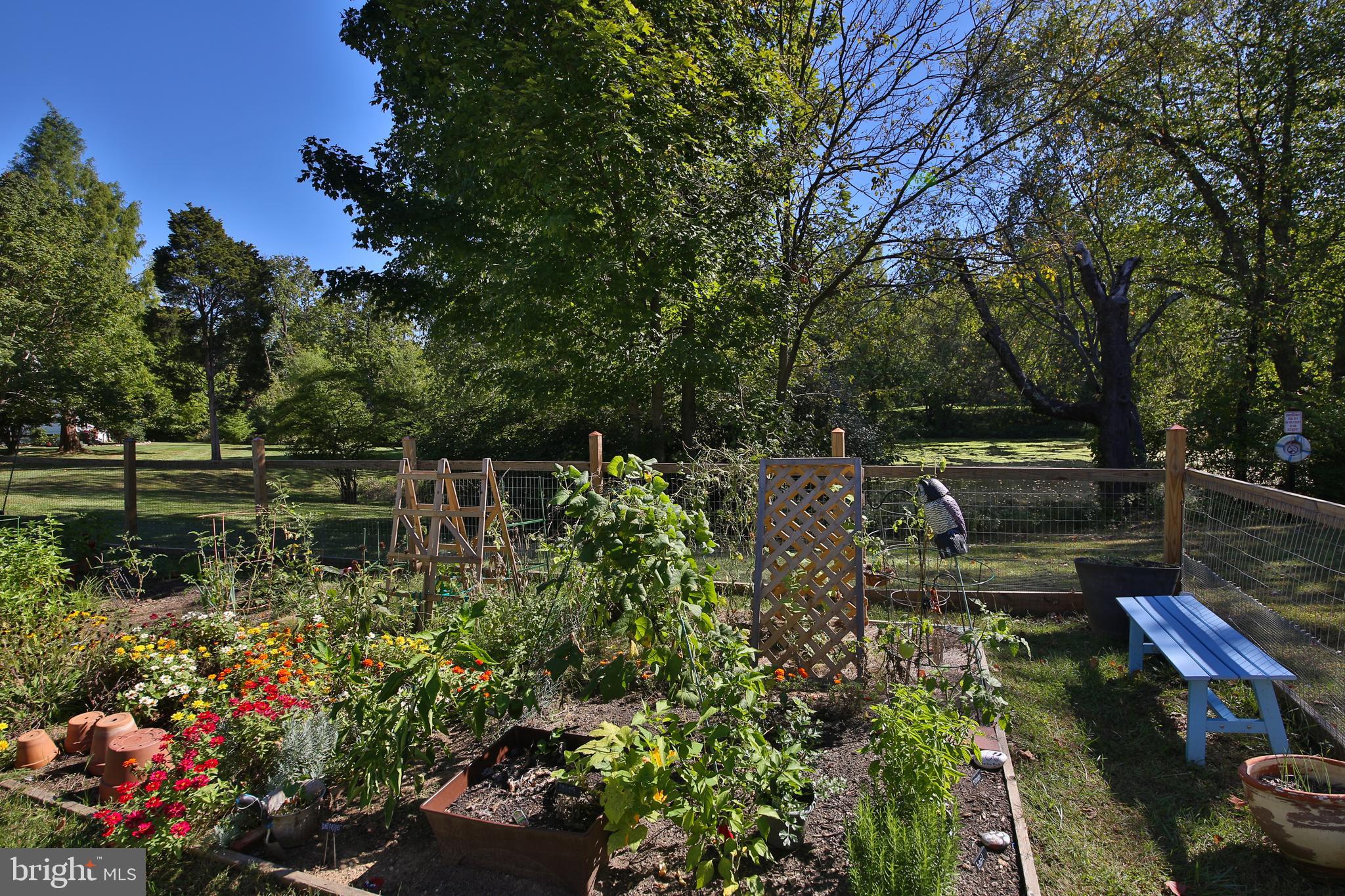 463 Old Forge Crossing, Unit 463 Devon, PA 19333 - Photo 27 of 35 Community garden