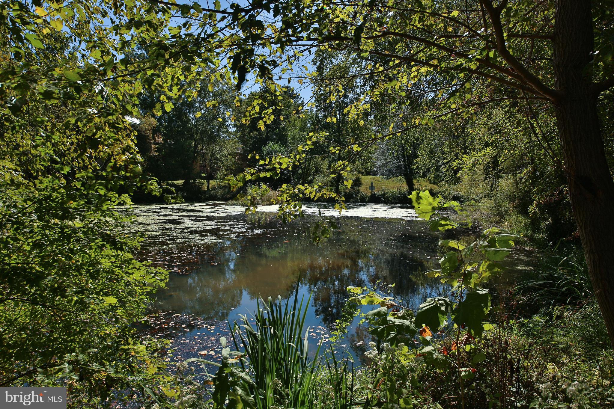 463 Old Forge Crossing, Unit 463 Devon, PA 19333 - Photo 31 of 35 Reflection pond