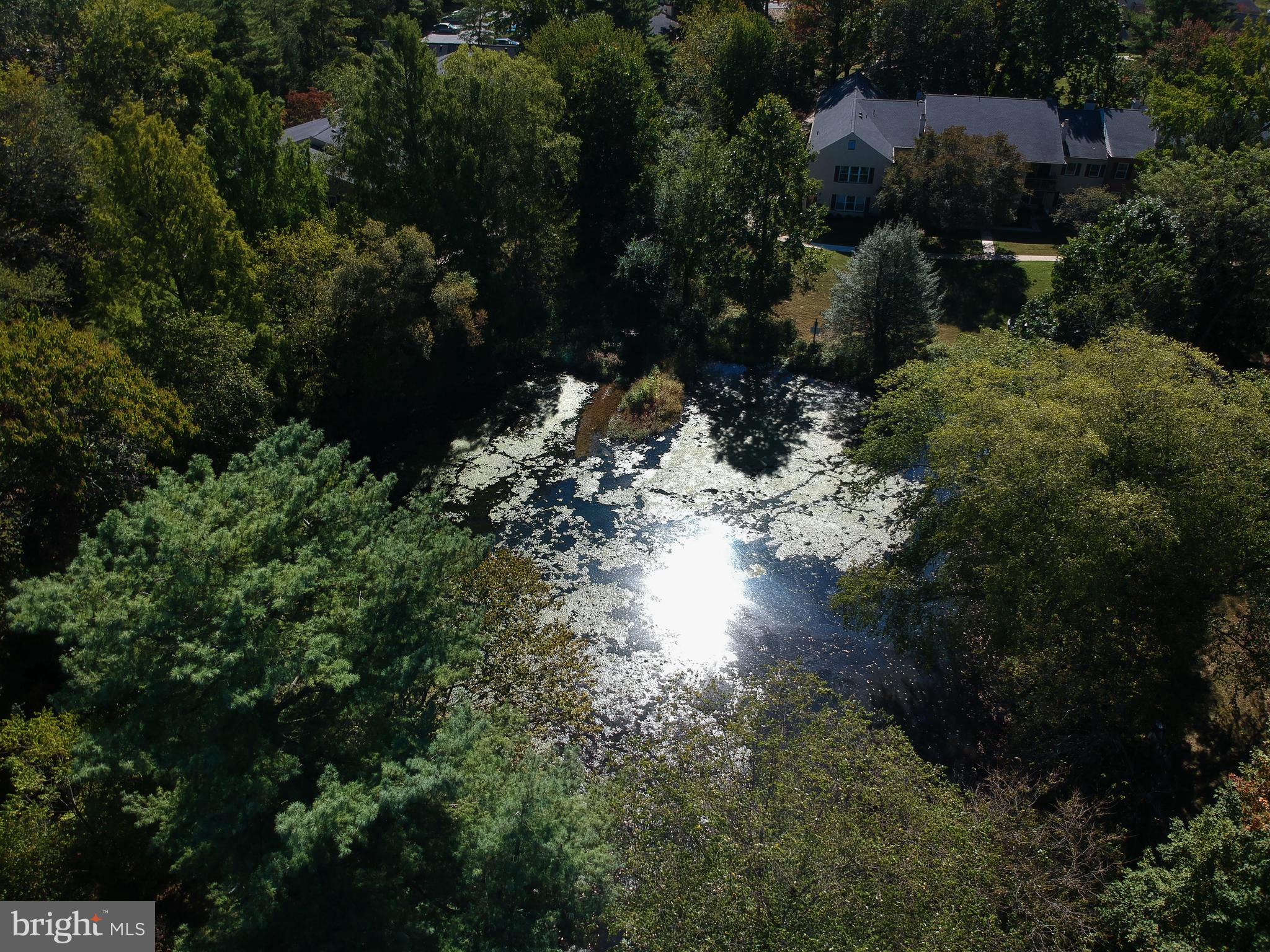 463 Old Forge Crossing, Unit 463 Devon, PA 19333 - Photo 32 of 35 Reflection pond
