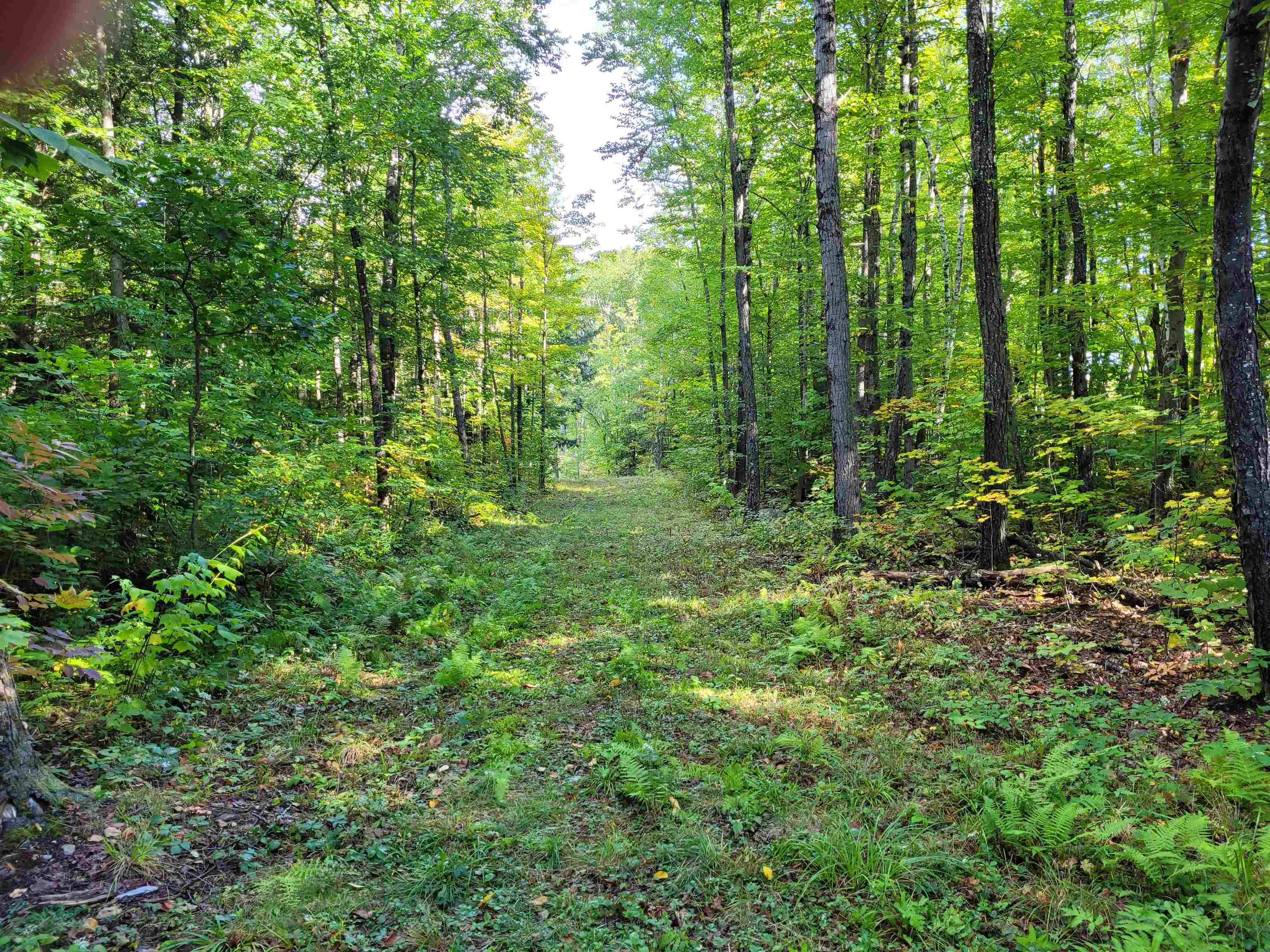 0 Bennett Road Alstead, NH 03602 - Photo 4 of 6