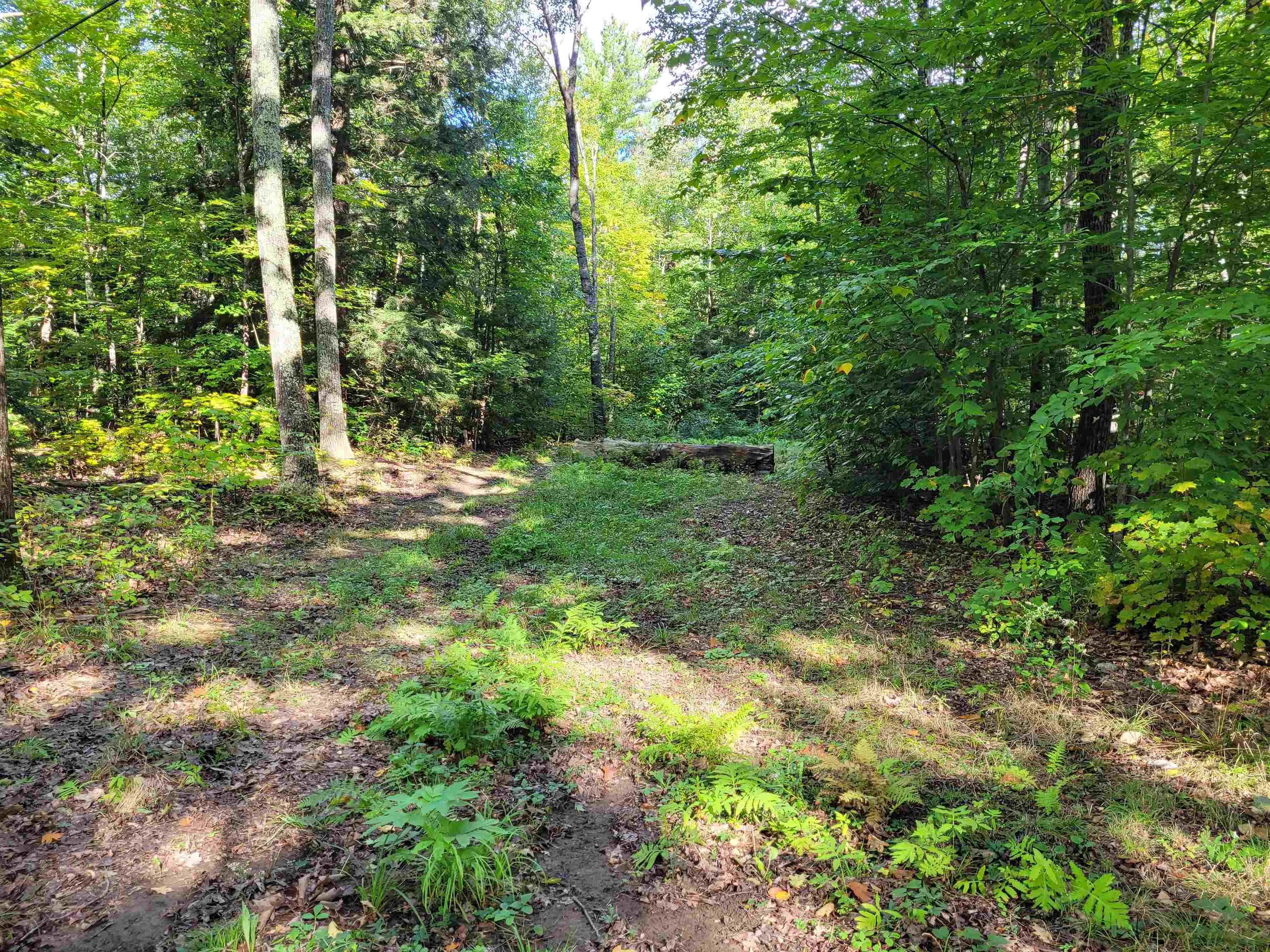 0 Bennett Road Alstead, NH 03602 - Photo 5 of 6