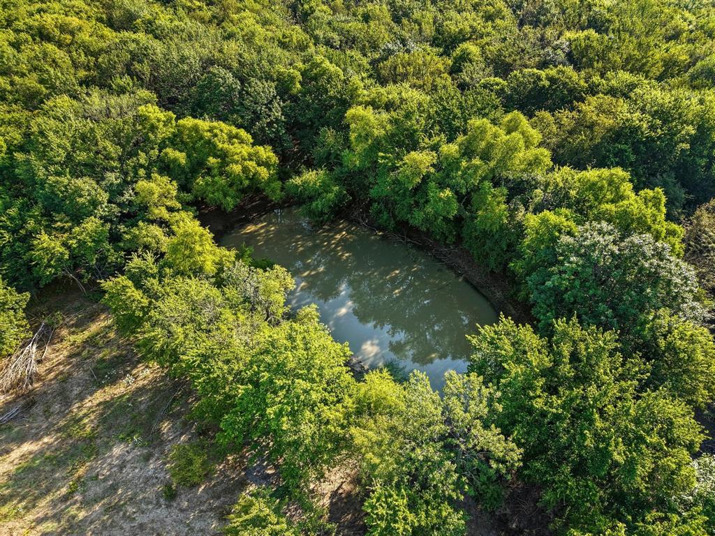 8194 Private Road 5406 Blue Ridge, TX 75424 - Photo 6 of 8 a view of a garden
