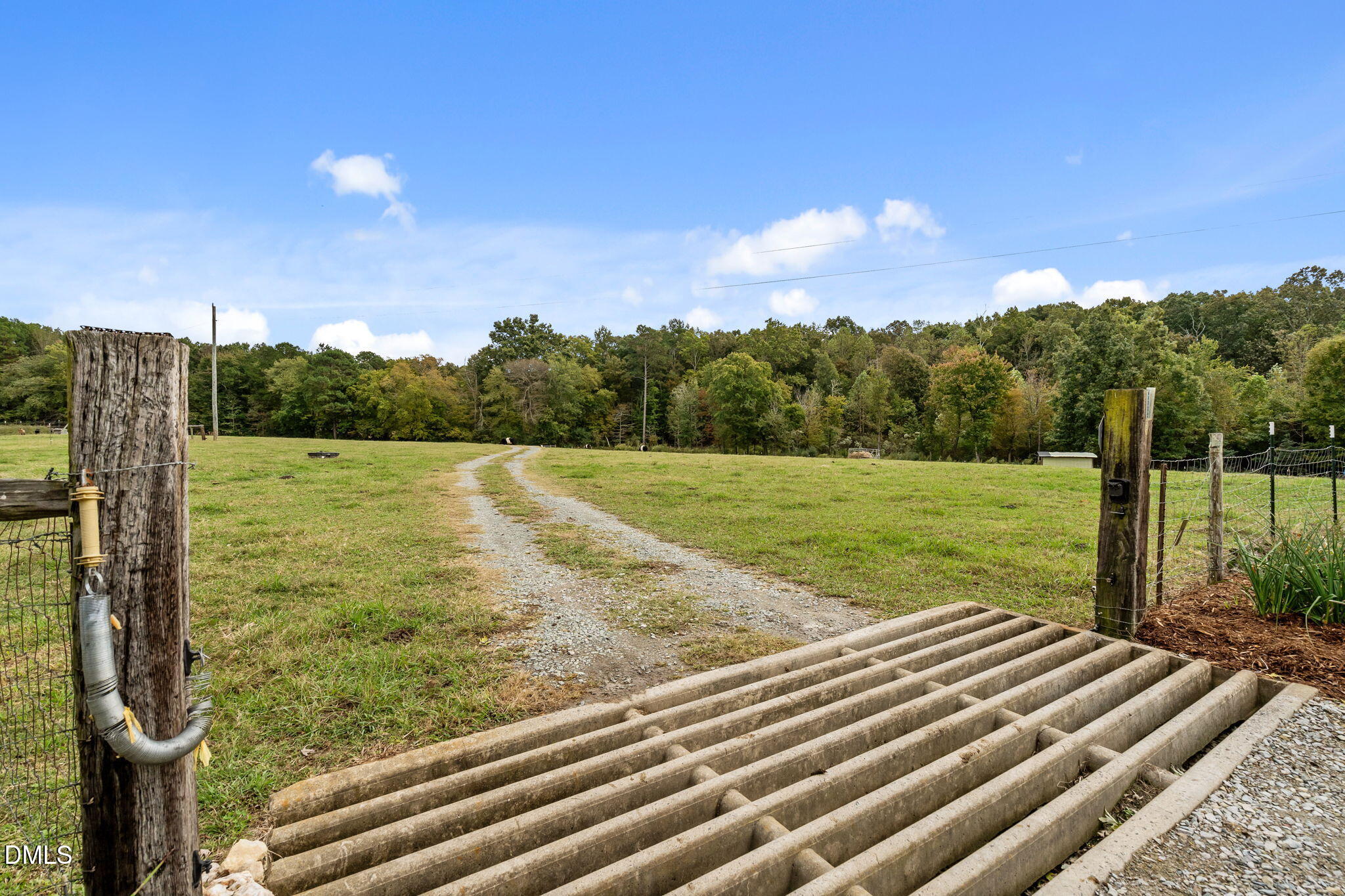 287 Herbie Road Carthage, NC 28327 - Photo 48 of 53 a view of a yard with an outdoor space