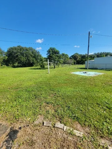 a view of a field with a tree