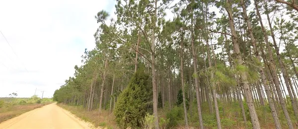 $400,000 | Tower Road, Bascom, FL 32423