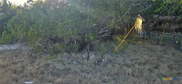 $29,500 | 203 Palm, Spring Branch, TX 78070