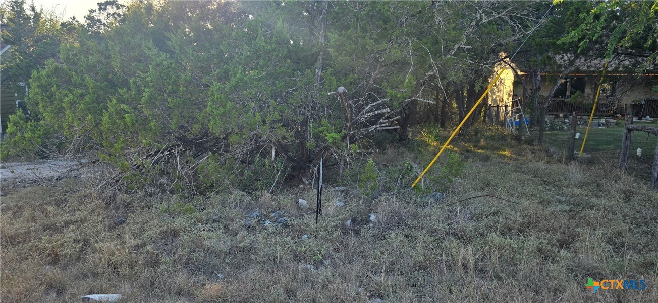 203 Palm Spring Branch, TX 78070 - Photo 1 of 4